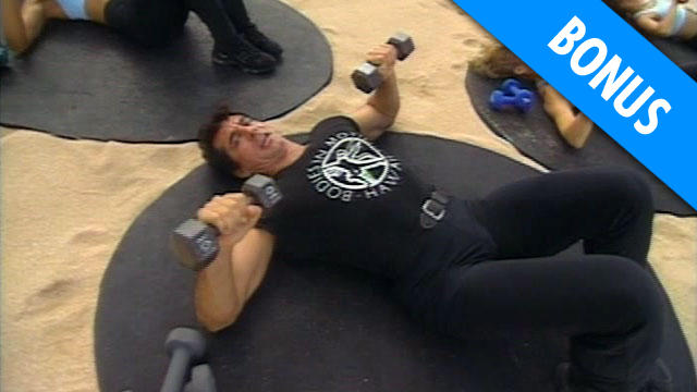 Quick Fit System - Chest & Back