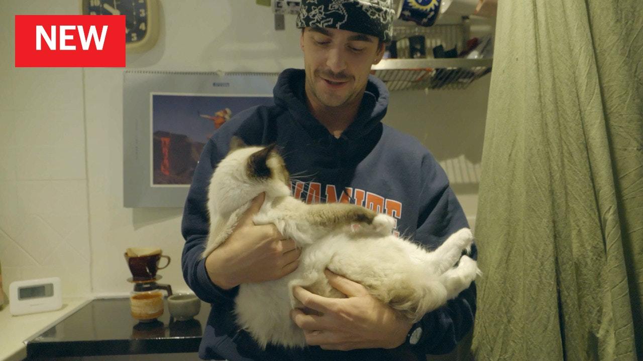 Locals - Season 2 - Jordan Godwin